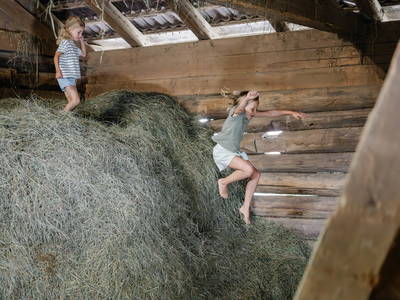 Bild 9 aus  Landselection Appartement Arnoldgut