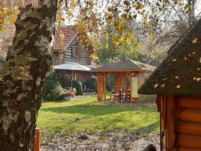 Bild 46 aus  Erlenhof im Oderbruch - Rund ums Schaf