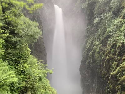 Bild 36 aus  Bauernhof Oberscheffau