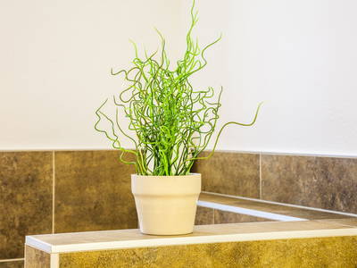 Bild 38 aus  Naglbauer