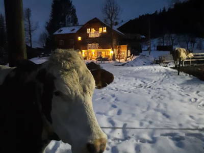 Bild 29 aus  Obergrünwaldgut