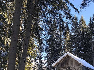 Bild 36 aus TESTHOF Oberösterreich
