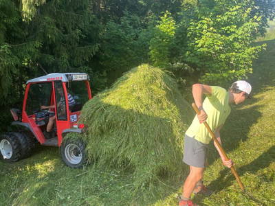 Bild 34 aus  Pfandlinghof