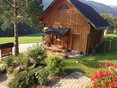 Bild 33 aus  Hoisbauer