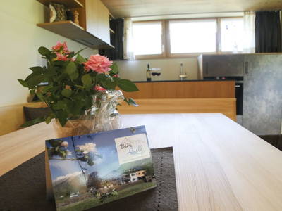 Bild 25 aus  Haus Bergquell mit Pferdestall