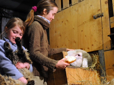 Bild 26 aus  Glinzhof