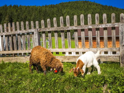 Bild 29 aus  Hansalagut