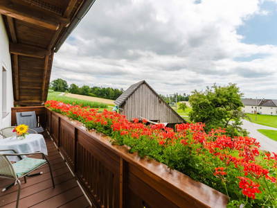 Bild 123 aus  Grainmeisterhof