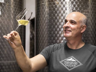 Bild 127 aus  Weingut STRAWANZER Donabaum