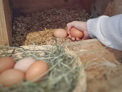 Bild 27 aus  Grainmeister