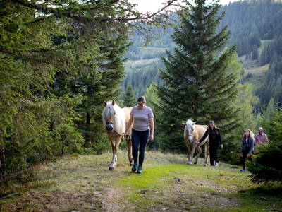Bild 206 aus  Bischofhütten