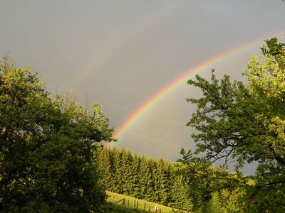 Bild 39 aus  Kollmannbauer