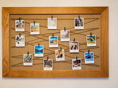 Bild 122 aus  Taxengut