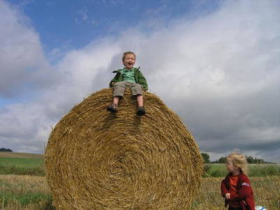 Bild 12 aus  Gutshof Baumbach