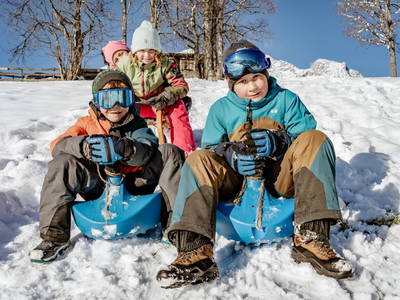 Bild 52 aus  Biobauernhof Brandlhof