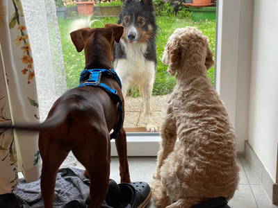 Bild 68 aus  Laudach Inn