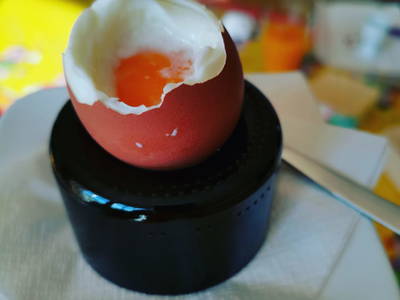 Bild 44 aus  Urlaub beim Winzer - Fam. Wissmann