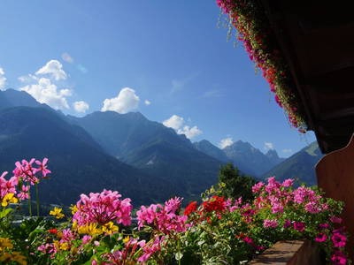 Bild 14 aus  Alpenbauernhof Gröbenhof