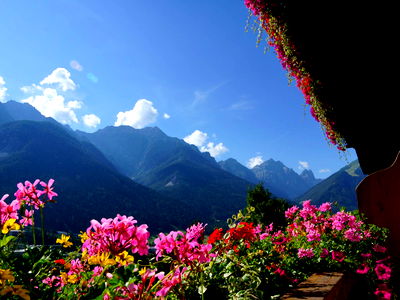Bild 9 aus Alpenbauernhof Gröbenhof