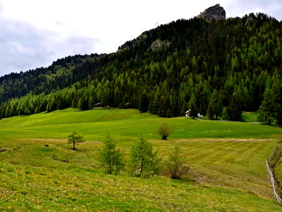 Bild 80 aus Berggasthof Steckholzer