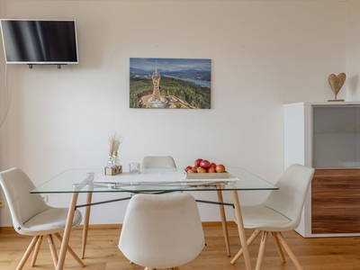 Bild 113 aus  Pleschinhof