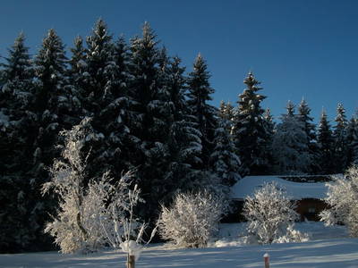 Bild 87 aus  Dichtlhof