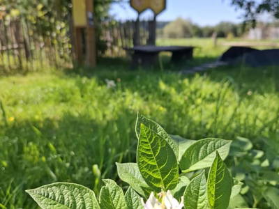 Bild 144 aus  Zehentnerhof