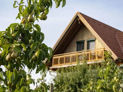 Bild 6 aus  Brandl Obstbauernhof 