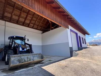 Bild 91 aus  Wallneralm