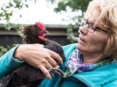 Bild 4 aus  Ferienhof Lorenzen