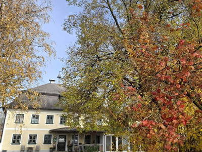 Bild 181 aus  Zehentnerhof
