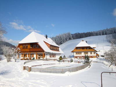 Bild 8 aus  Fussbauernhof