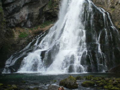 Bild 42 aus  Starbauer