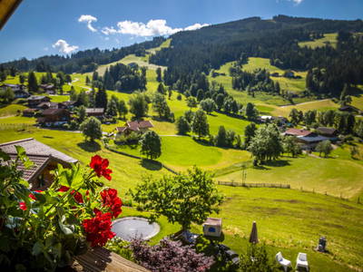 Bild 88 aus  Zauchtalerhof