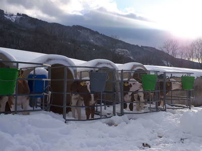 Bild 41 aus  Hüttstädterhof