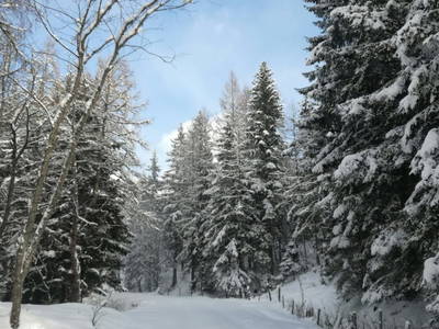 Bild 108 aus  Almchalet Nikola