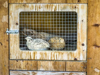 Bild 106 aus  Oberegghof