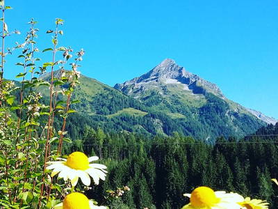 Bild 64 aus  Haus Alpengruss