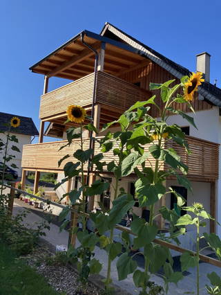 Biohof Auinger – der Tiererlebnis.Hof aus Aurach am Hongar
