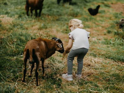 Bild 69 aus  Biohof Greflgut