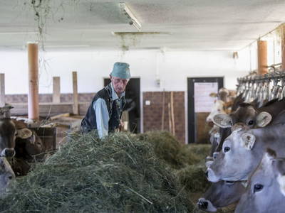 Bild 129 aus  Hagerhof