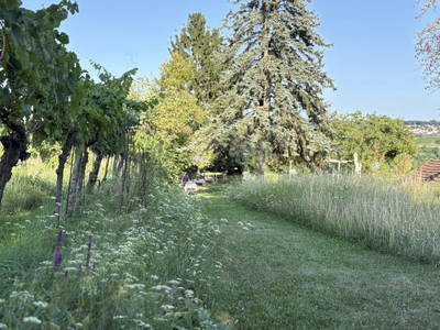 Bild 12 aus  Naturgartenurlaub - Steffis Ferienwohnungen