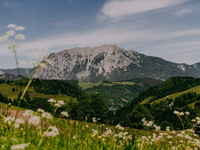 Bild 4 aus  Die Chalet Alm