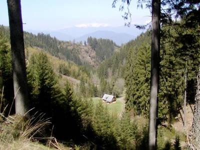 Bild 11 aus  Möschbauer