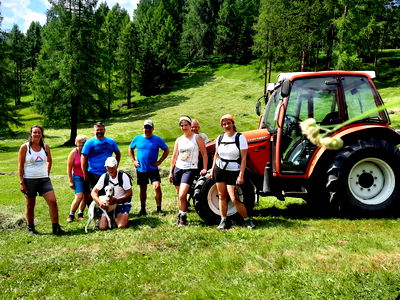 Bild 62 aus Bauernhof Pergila