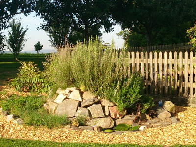 Bild 14 aus  Schönlehenhof