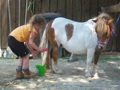 Bild 46 aus  Schönlehenhof