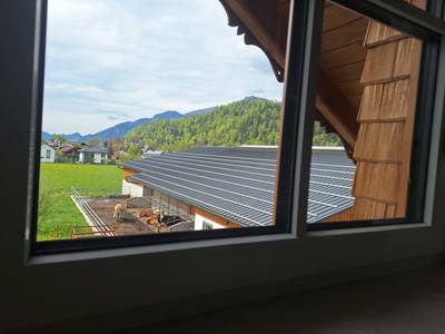 Bild 12 aus Klinglerbauer