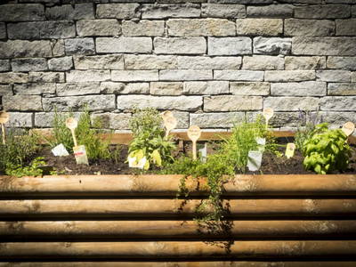 Bild 77 aus  Haus Bernardes