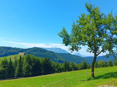 Bild 41 aus  Ferienhaus Untergrünweg